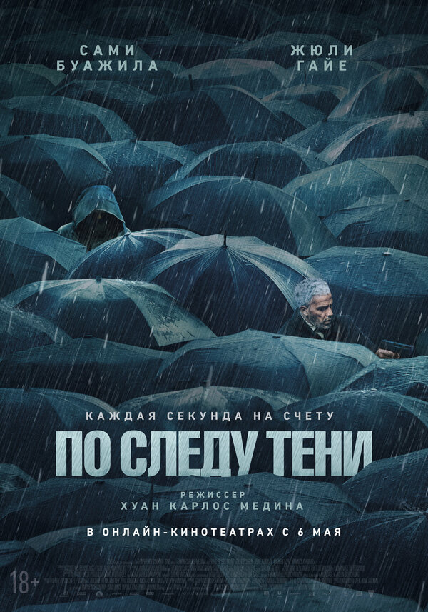 По следу тени